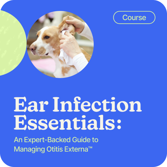 Ear Infection Essentials course preview