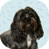 Newsletter illustration